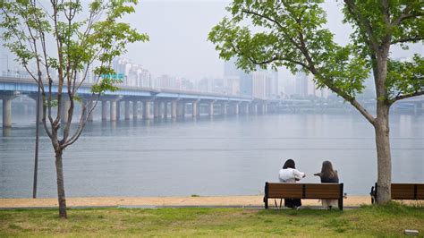 여의도 데이트, 한강의 달빛 아래서의 철학적 고찰